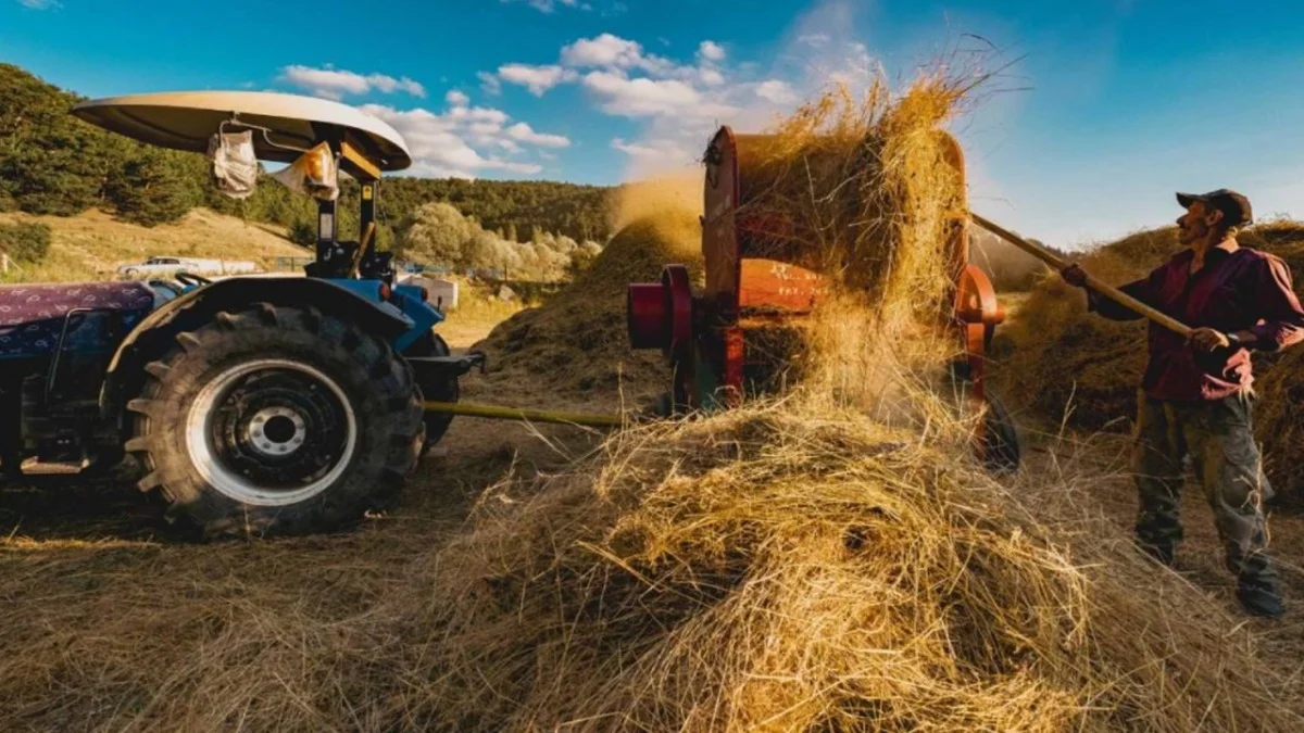 Tarım ve Hayvancılıkla Uğraşanlara Müjde! Bakanlık Resmen Faizsiz Krediye Onay Verdi - Ekonomi Haberleri